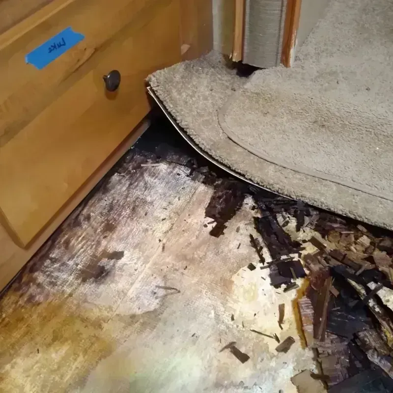 Wood Floor Water Damage in Troy, PA